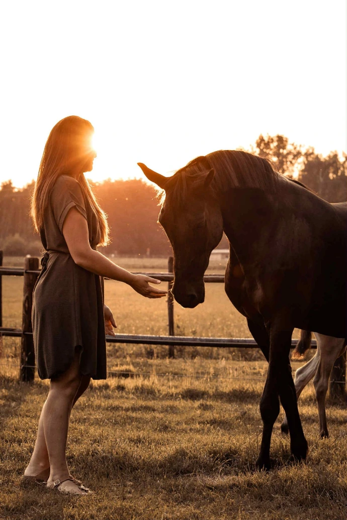 Het paard zoekt rustig contact met de vrouw