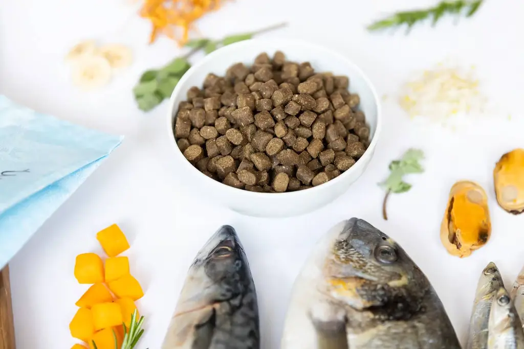 ydolo_april_mei_27_insta (1).webp