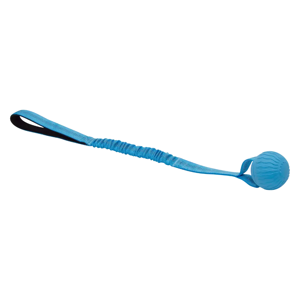 [25089] JV Playscent bal met bungee  (bacon)
