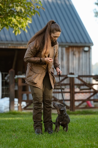 Jij en je hond één team (gratis introductie)